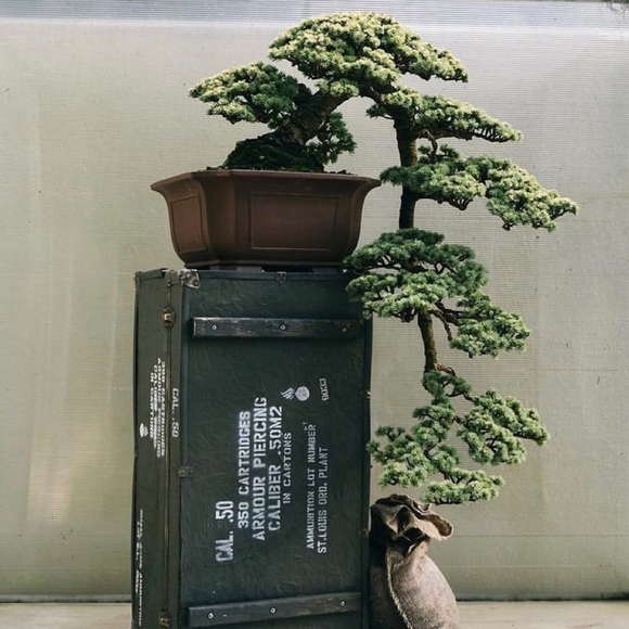 Meet your Posher, Josh - Picture 14 of 16